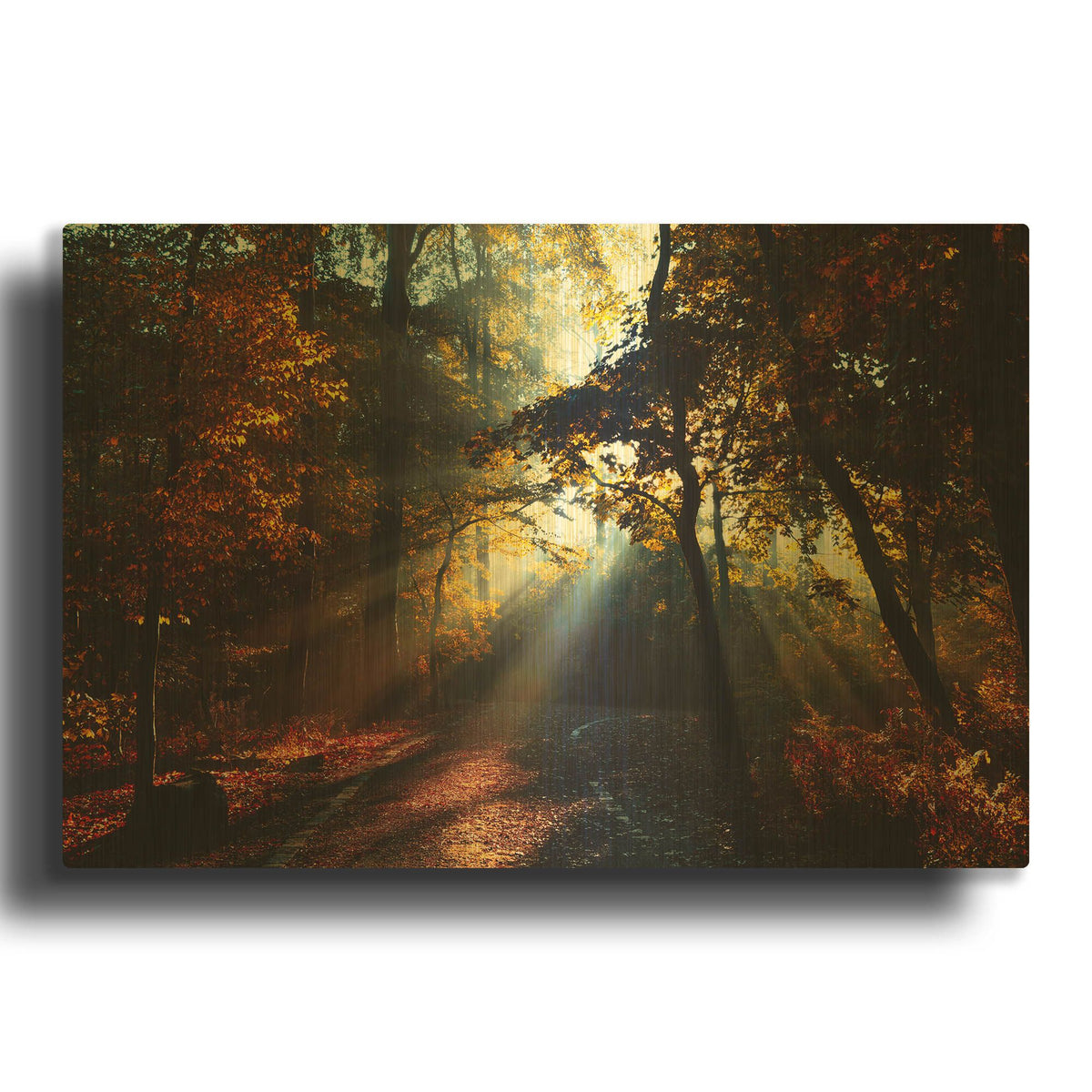 'Magic Forest Light' By Dirk Wustenhagen Gold Metal Wall Art