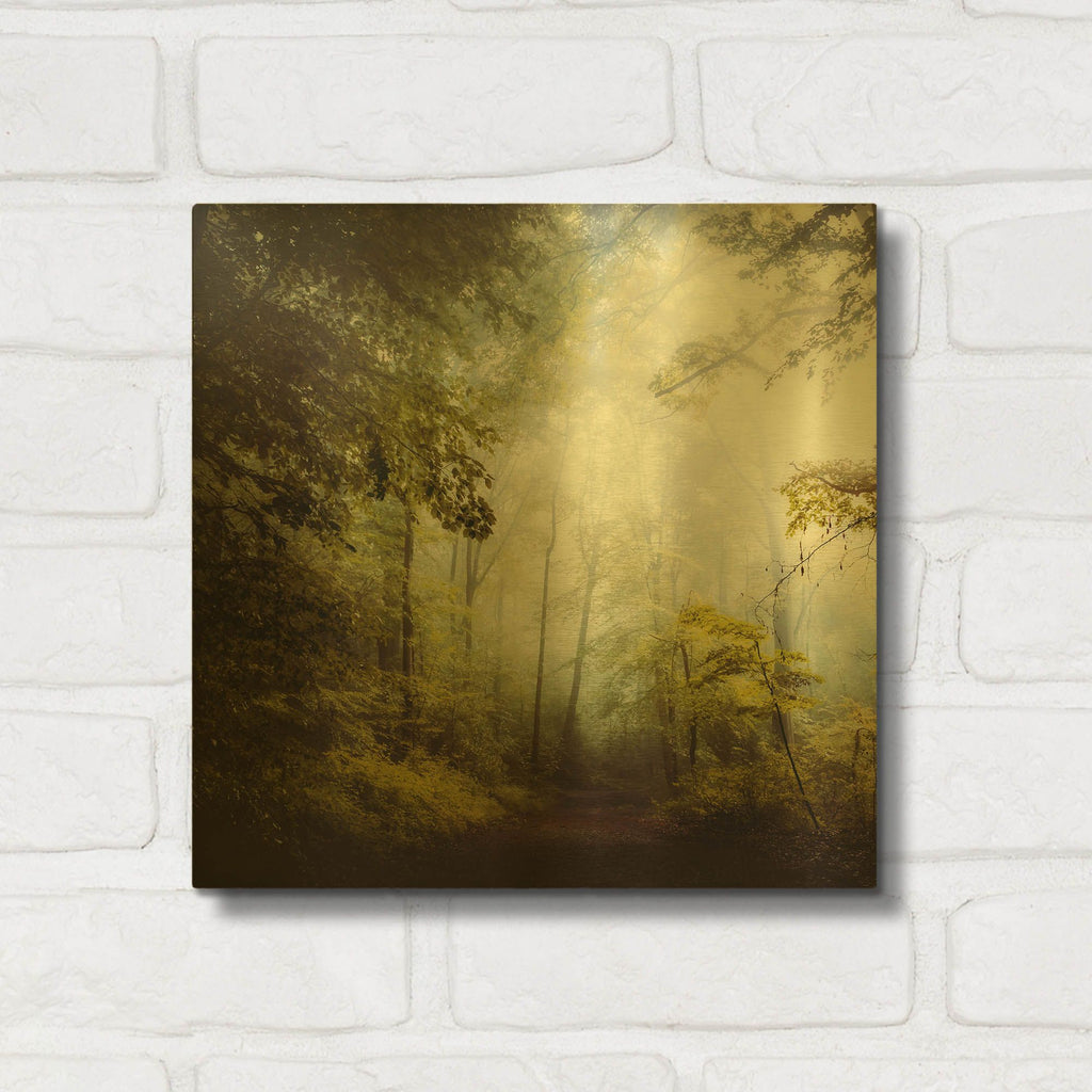 'Glorious Woods' By Dirk Wustenhagen Gold Metal Wall Art