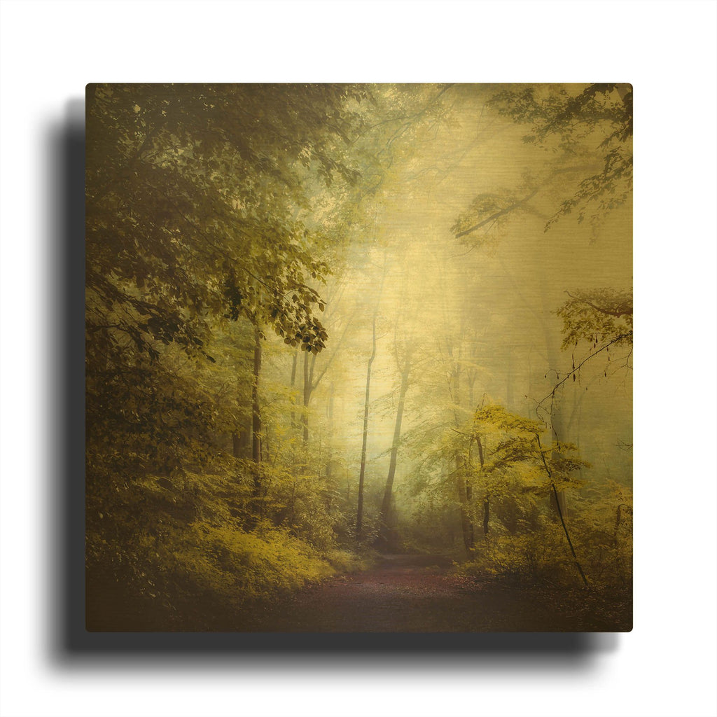 'Glorious Woods' By Dirk Wustenhagen Gold Metal Wall Art