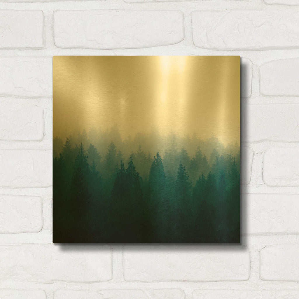 'Heart and Soul - Foggy Forest' By Dirk Wustenhagen Gold Metal Wall Art