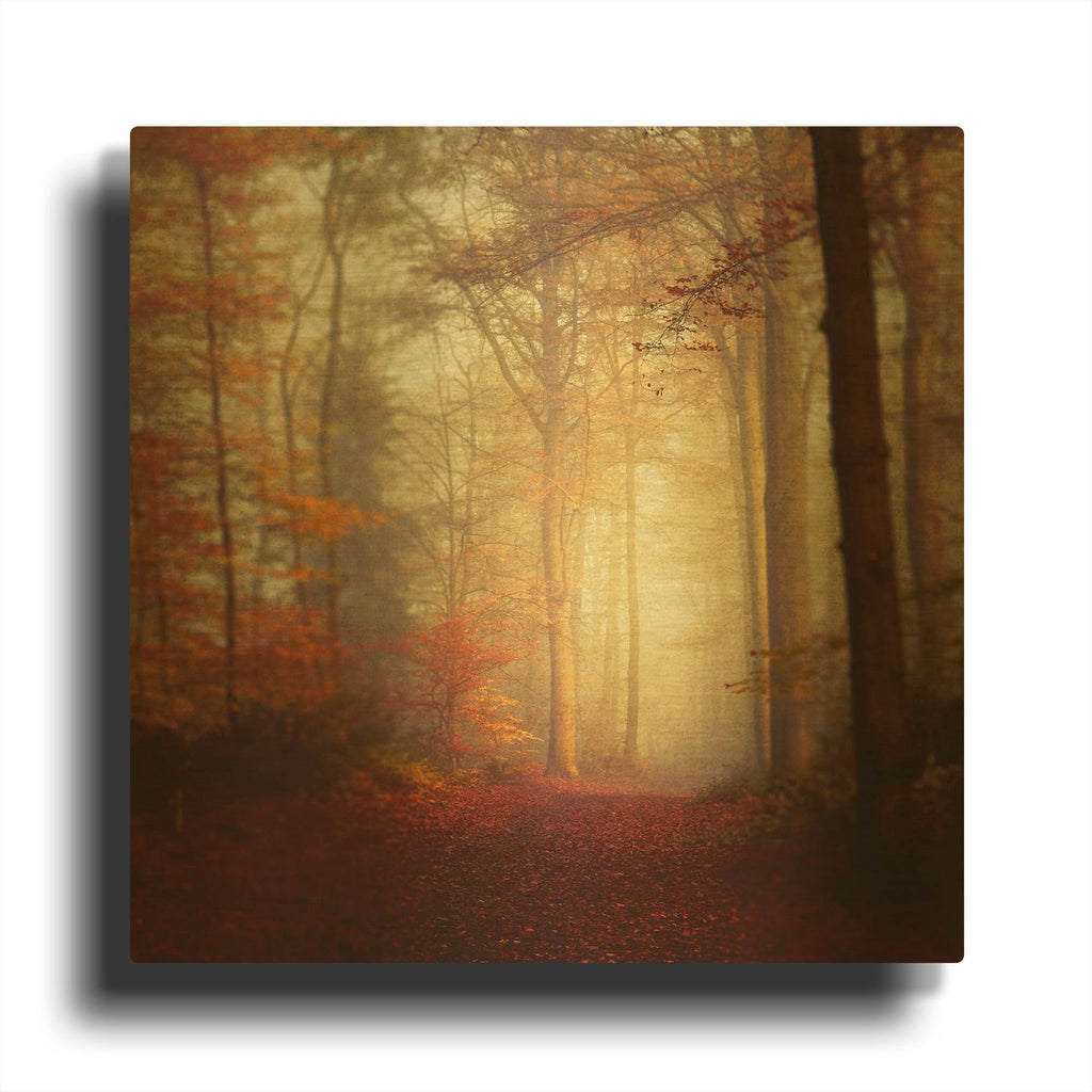 'Fall Hike' By Dirk Wustenhagen Gold Metal Wall Art