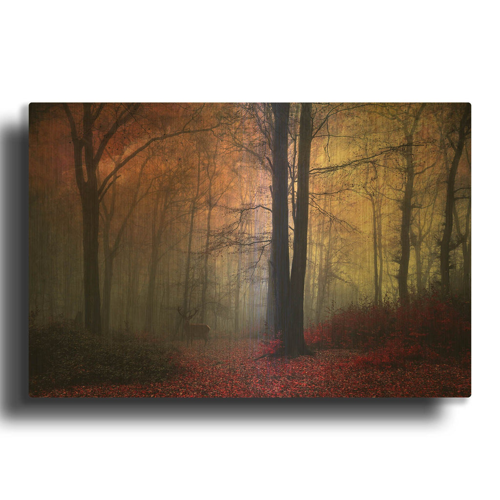 'Forest Dream' By Dirk Wustenhagen Gold Metal Wall Art