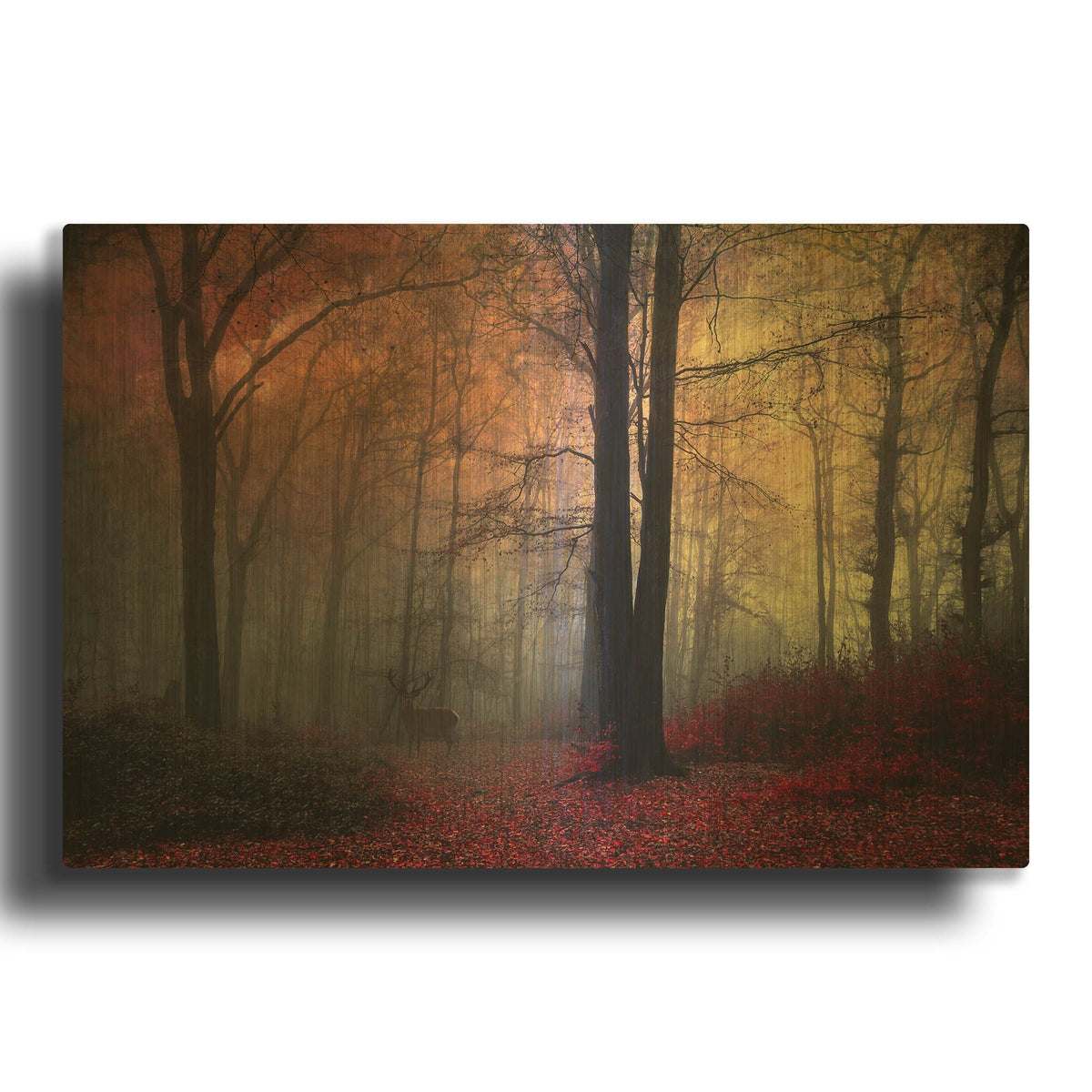 'Forest Dream' By Dirk Wustenhagen Gold Metal Wall Art