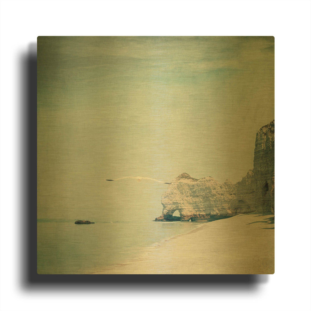 'Gliding' By Dirk Wustenhagen Gold Metal Wall Art