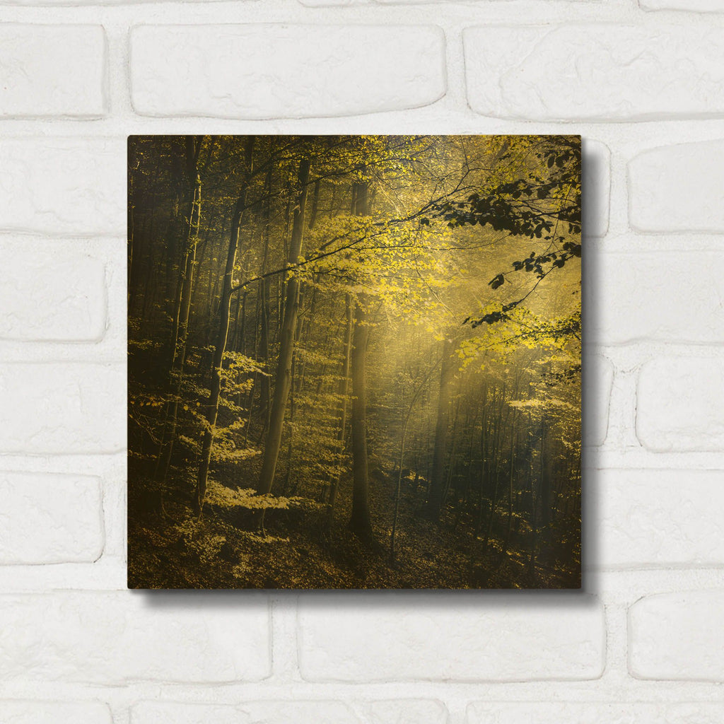 'Being There Revisited' By Dirk Wustenhagen Gold Metal Wall Art