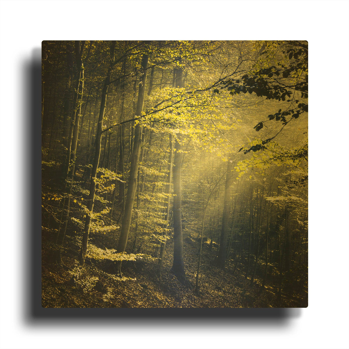'Being There Revisited' By Dirk Wustenhagen Gold Metal Wall Art