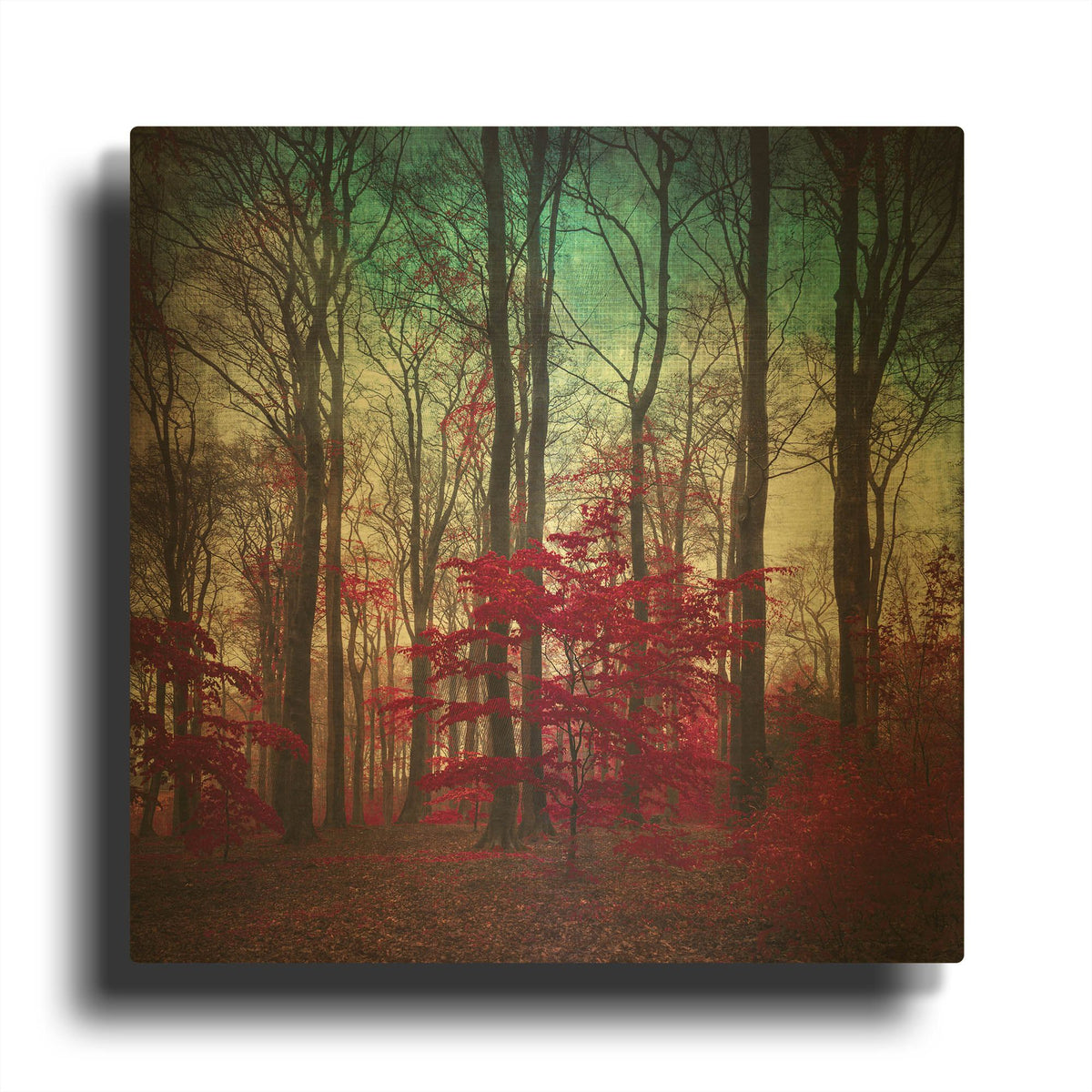 'A Maze' By Dirk Wustenhagen Gold Metal Wall Art
