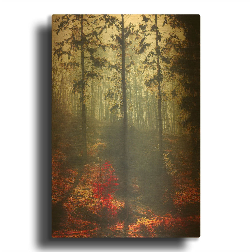 'Weight of Light' By Dirk Wustenhagen Gold Metal Wall Art