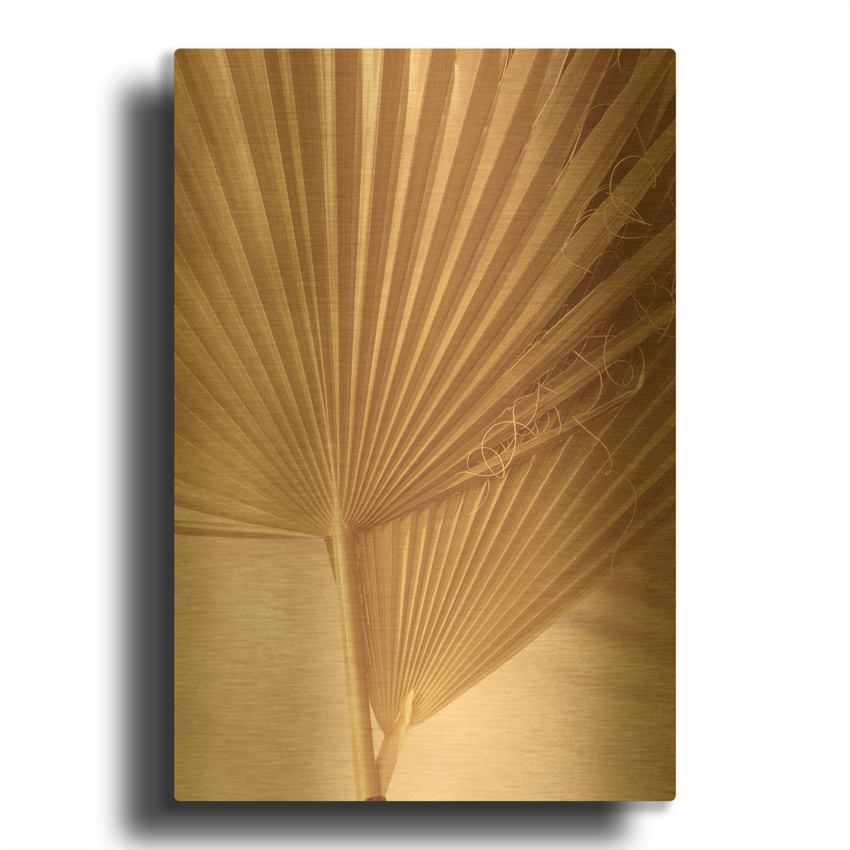 'Pastel Fan 1' By Ian Winstanley Gold Metal Wall Art