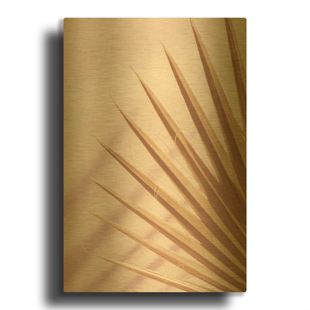 'Pastel Fan 4' By Ian Winstanley Gold Metal Wall Art