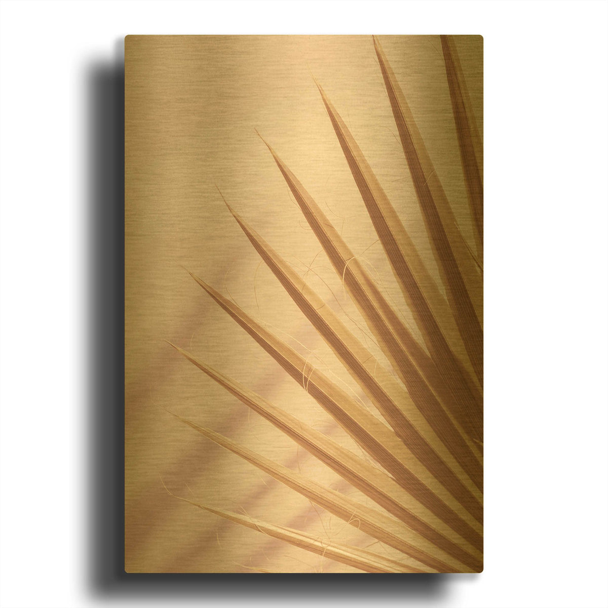 'Pastel Fan 4' By Ian Winstanley Gold Metal Wall Art