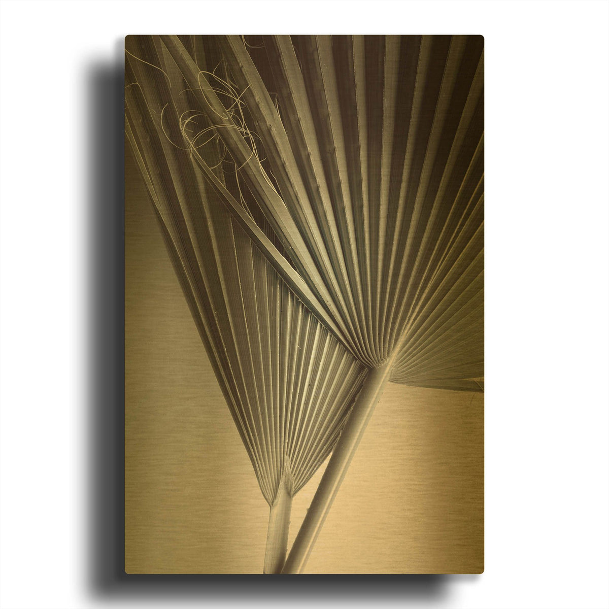 'Fan Detail 8' By Ian Winstanley Gold Metal Wall Art
