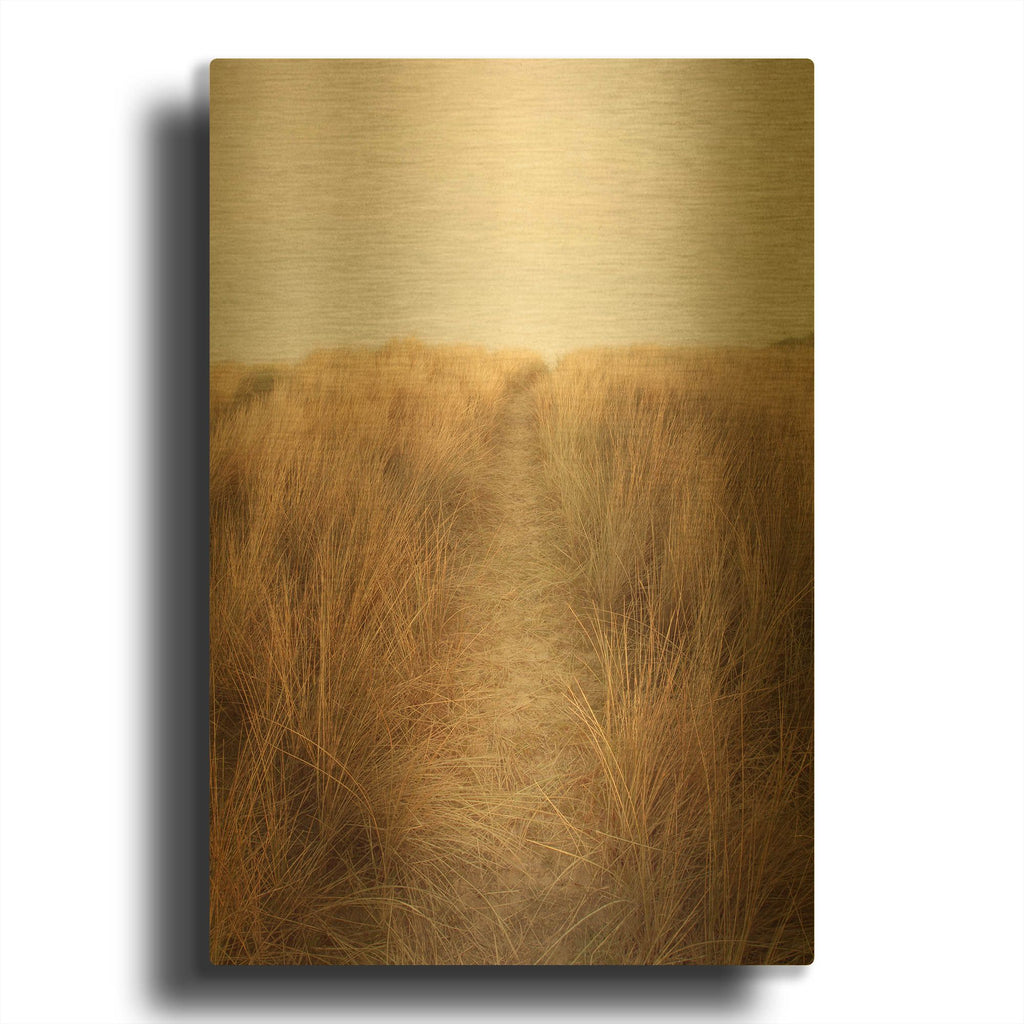 'Dunes with Seagulls 6' By Ian Winstanley Gold Metal Wall Art