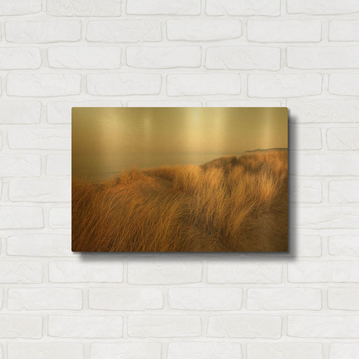 'Dunes with Seagulls 7' By Ian Winstanley Gold Metal Wall Art