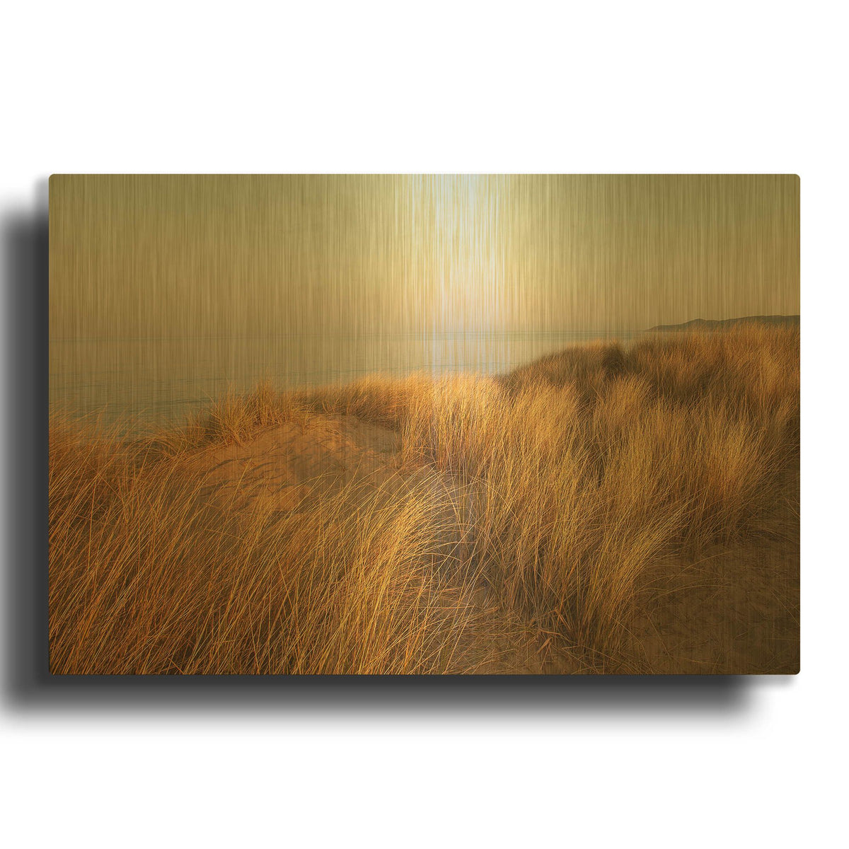 'Dunes with Seagulls 7' By Ian Winstanley Gold Metal Wall Art