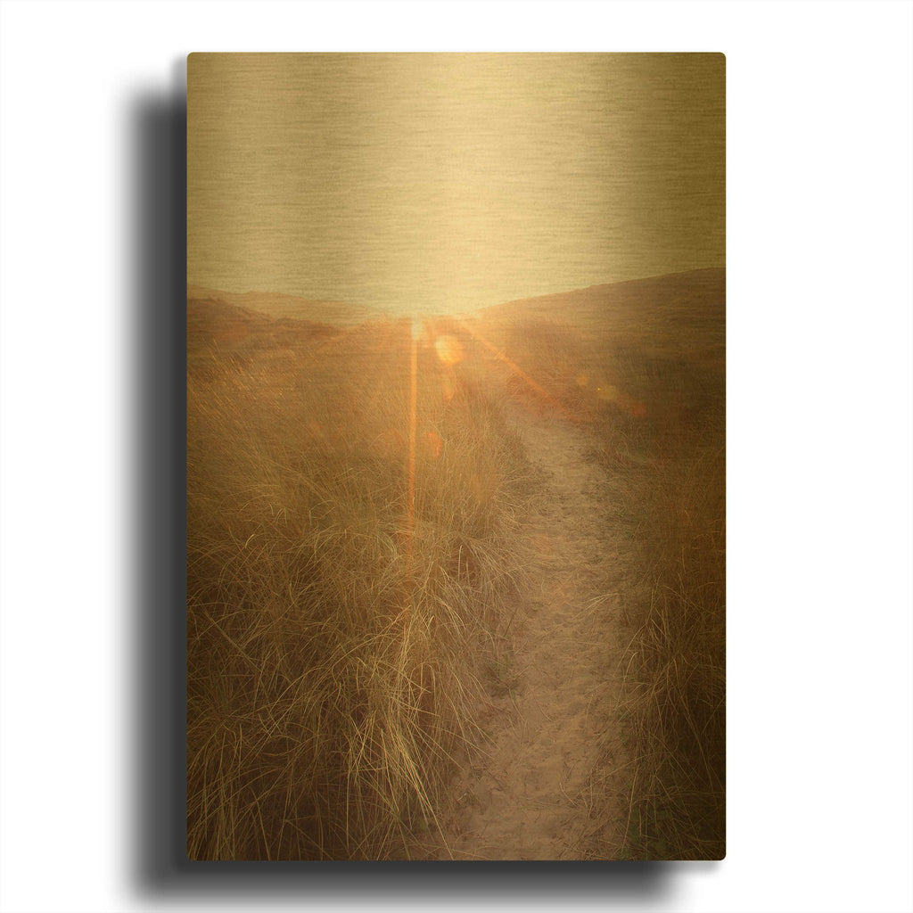 'Dunes with Seagulls 4' By Ian Winstanley Gold Metal Wall Art