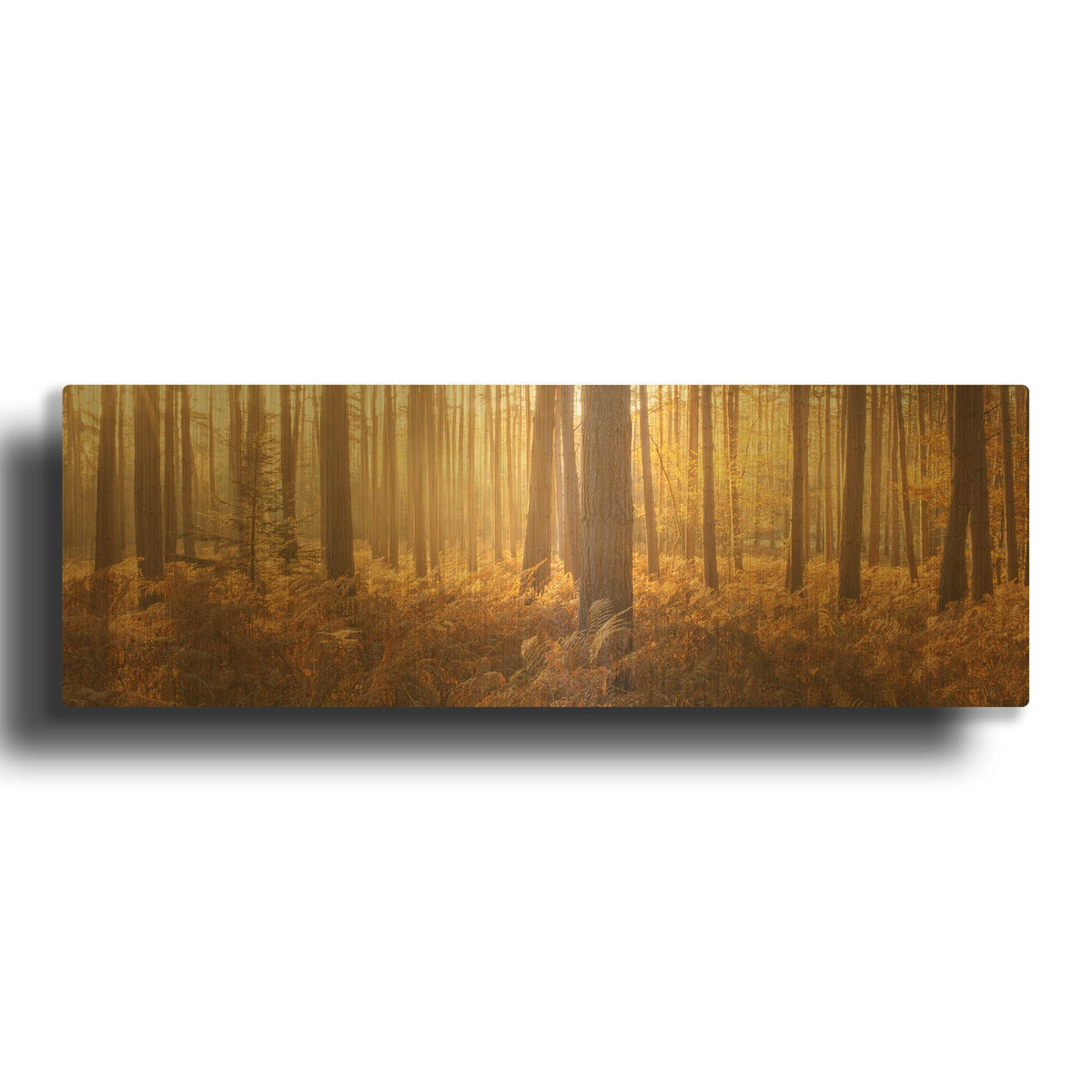 'Wyre Forest' By Ian Winstanley Gold Metal Wall Art