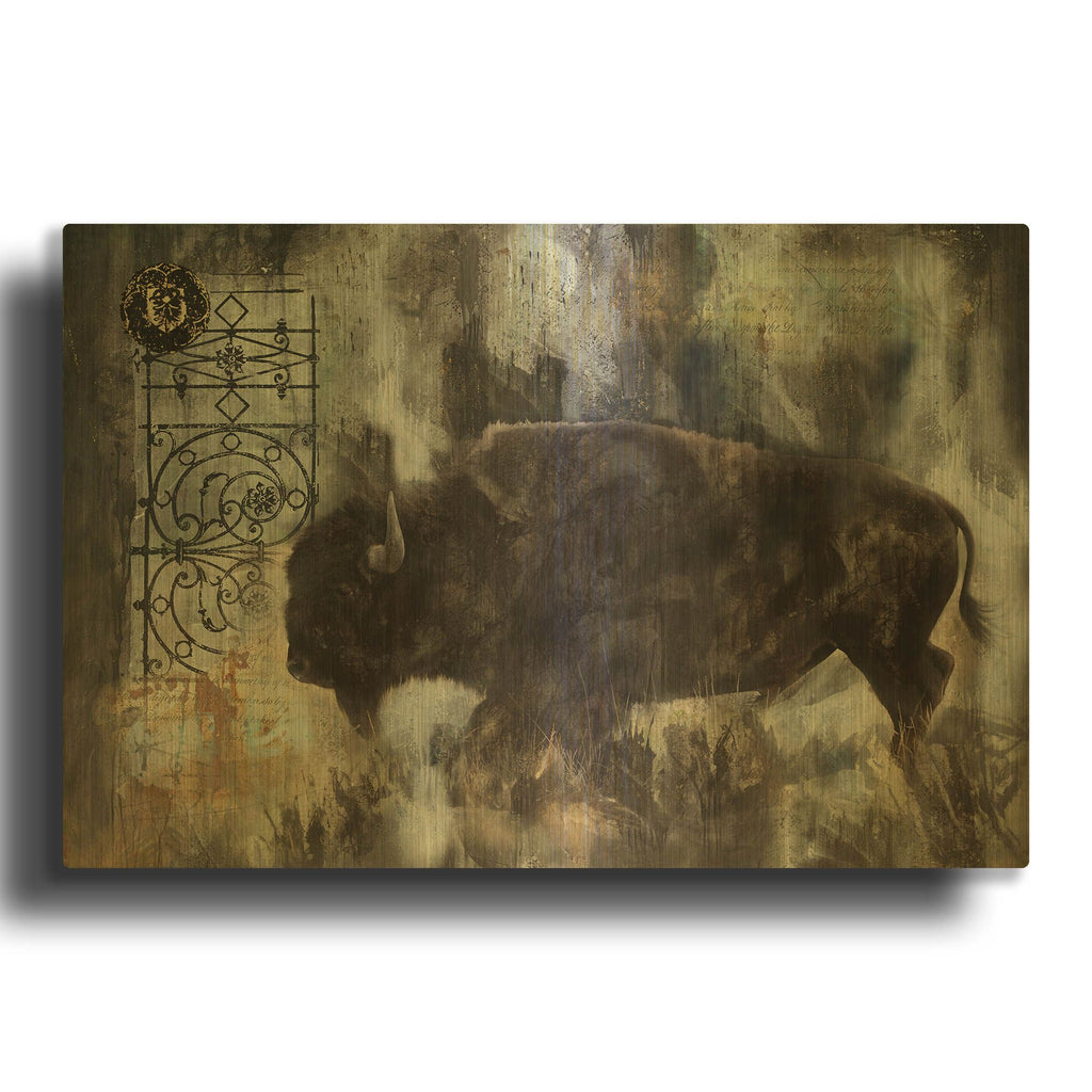 'Buffalo' By Marta Wiley Gold Metal Wall Art