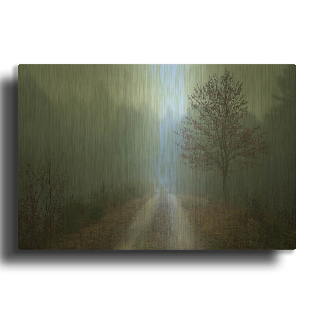 'Spring Fog' By Patrick Zephyr Gold Metal Wall Art