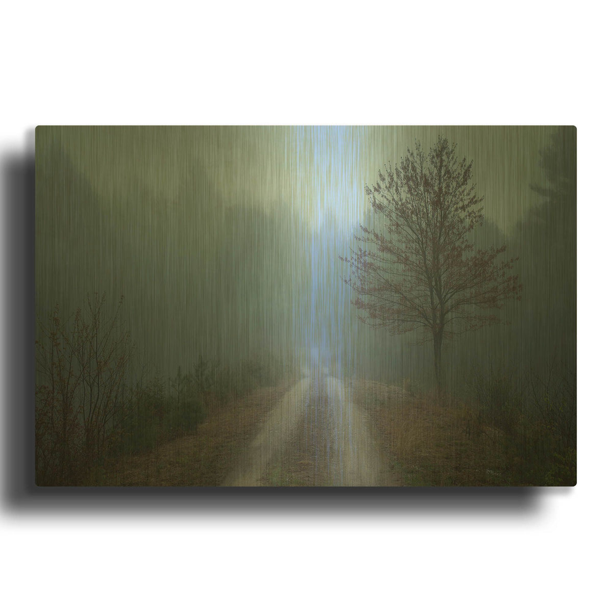 'Spring Fog' By Patrick Zephyr Gold Metal Wall Art