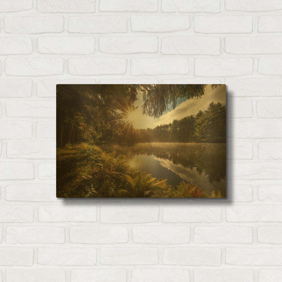 'Sunstars' By Patrick Zephyr Gold Metal Wall Art