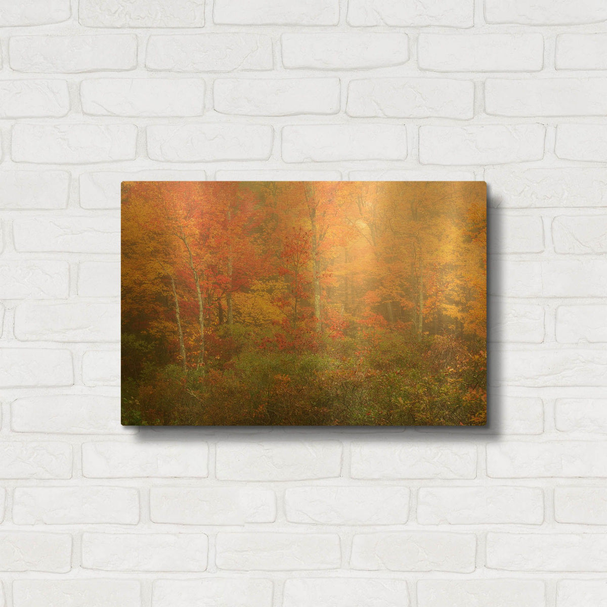 'Soft Pallet' By Patrick Zephyr Gold Metal Wall Art