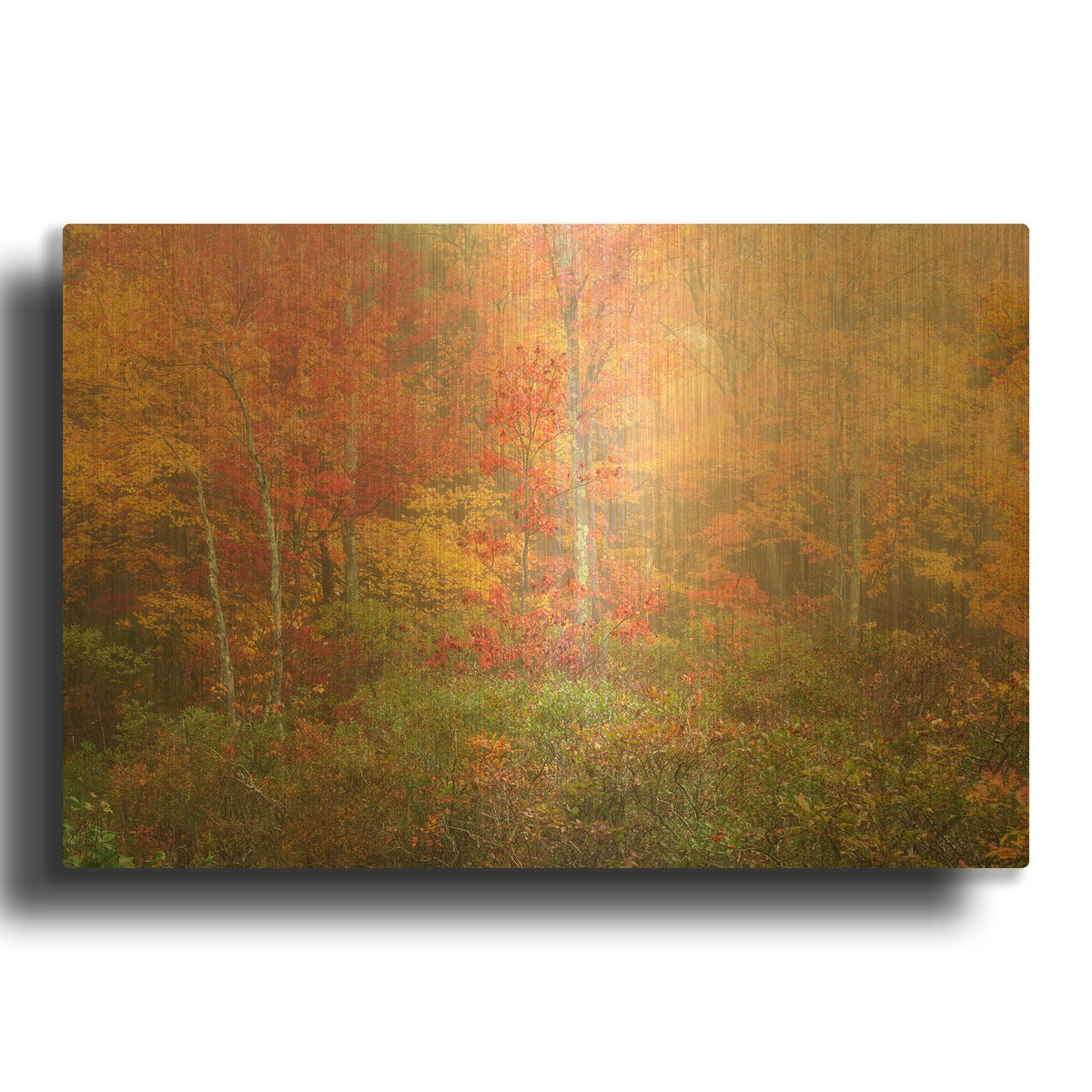 'Soft Pallet' By Patrick Zephyr Gold Metal Wall Art