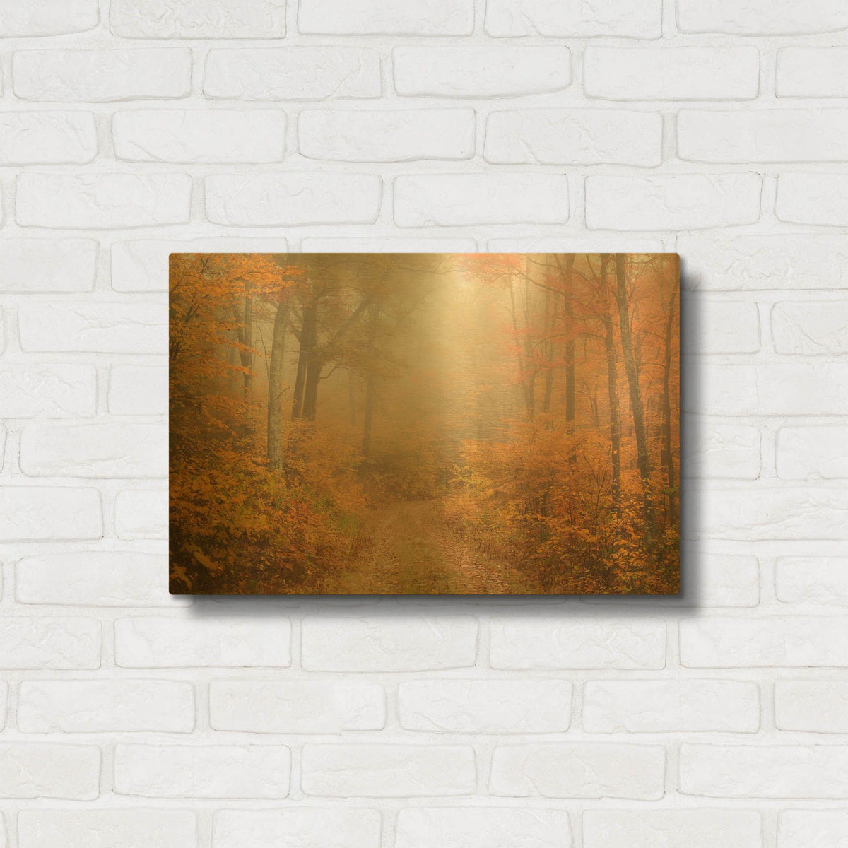 'Passing Through' By Patrick Zephyr Gold Metal Wall Art