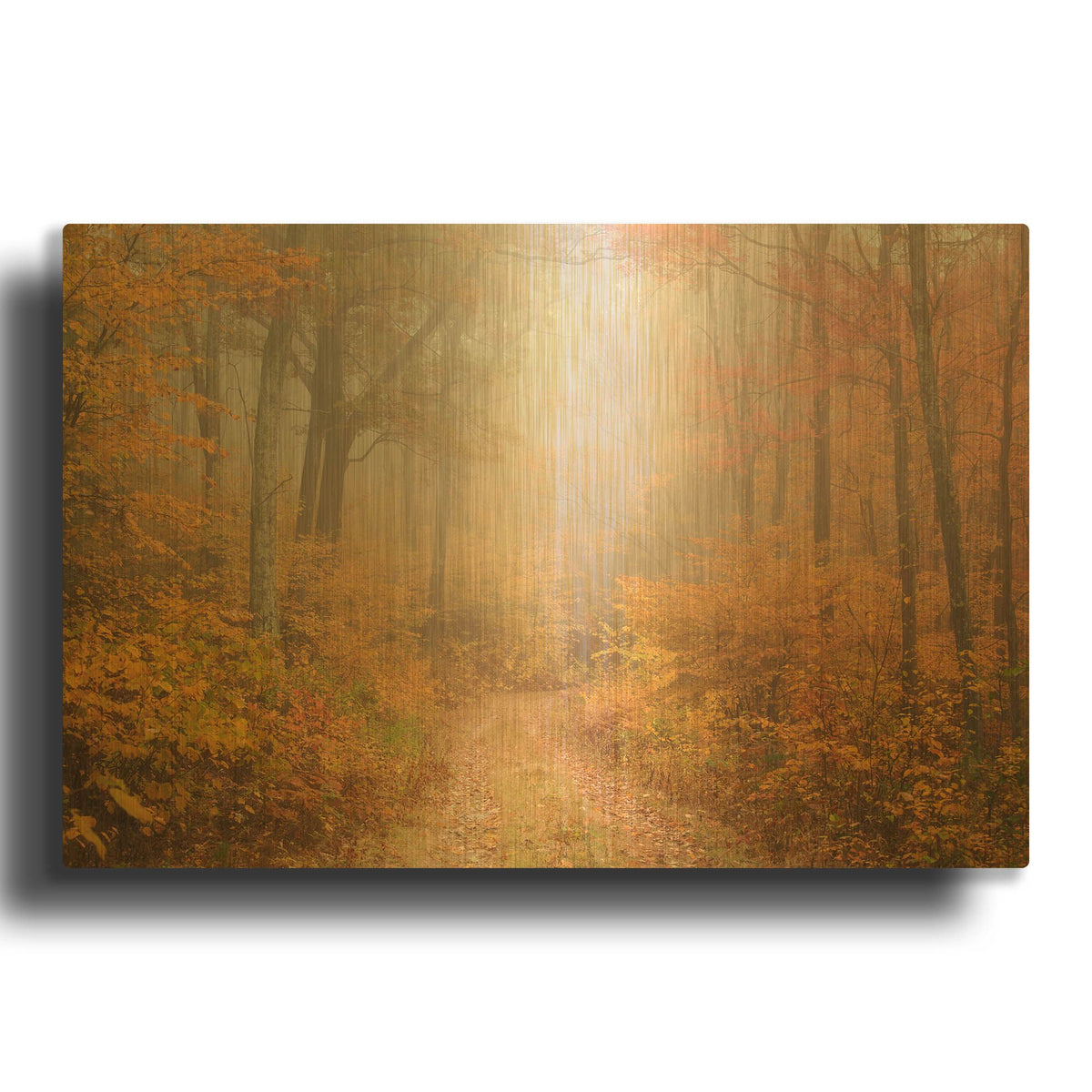 'Passing Through' By Patrick Zephyr Gold Metal Wall Art