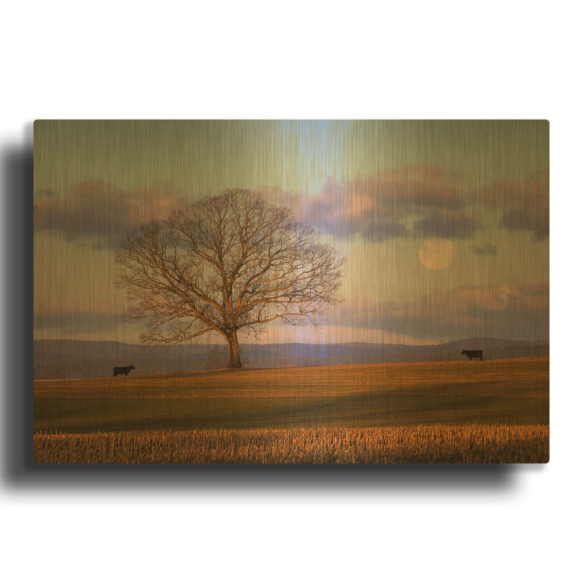 'Meeting At Dawn' By Patrick Zephyr Gold Metal Wall Art