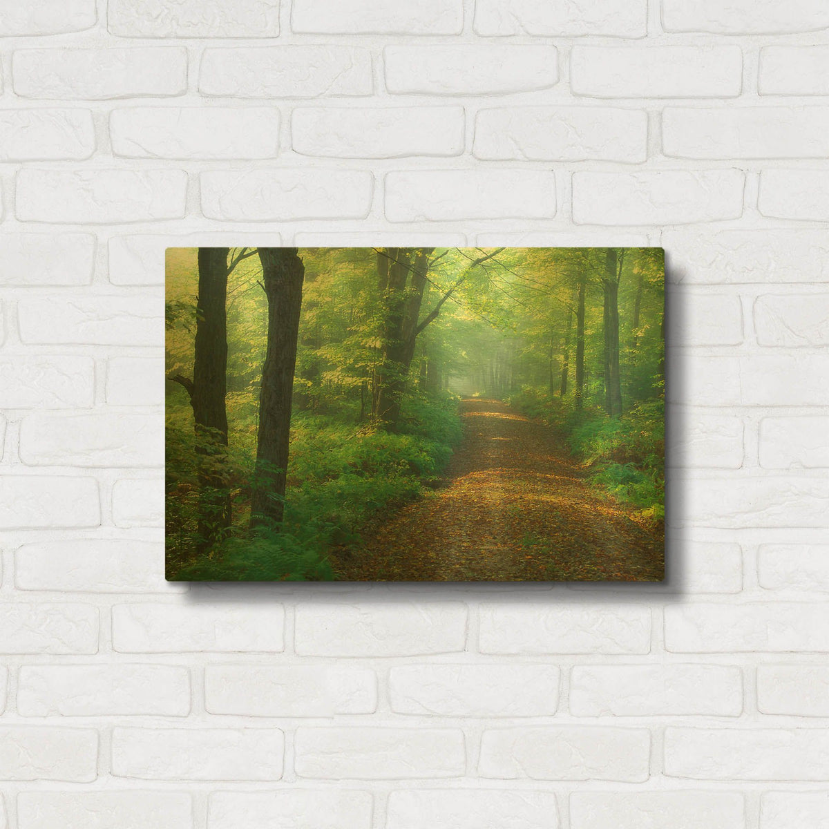 'First Light' By Patrick Zephyr Gold Metal Wall Art