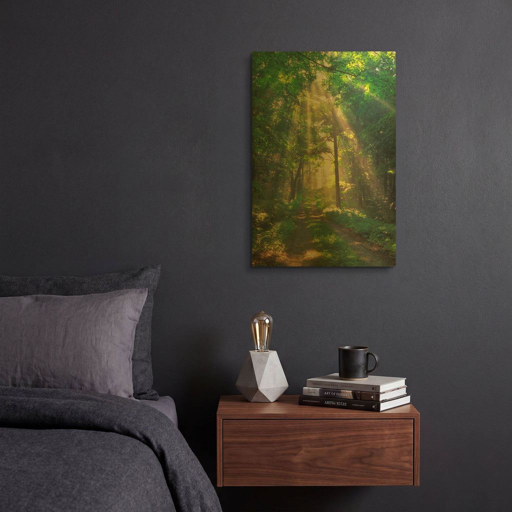 'Forest Sunshine' By Patrick Zephyr Gold Metal Wall Art