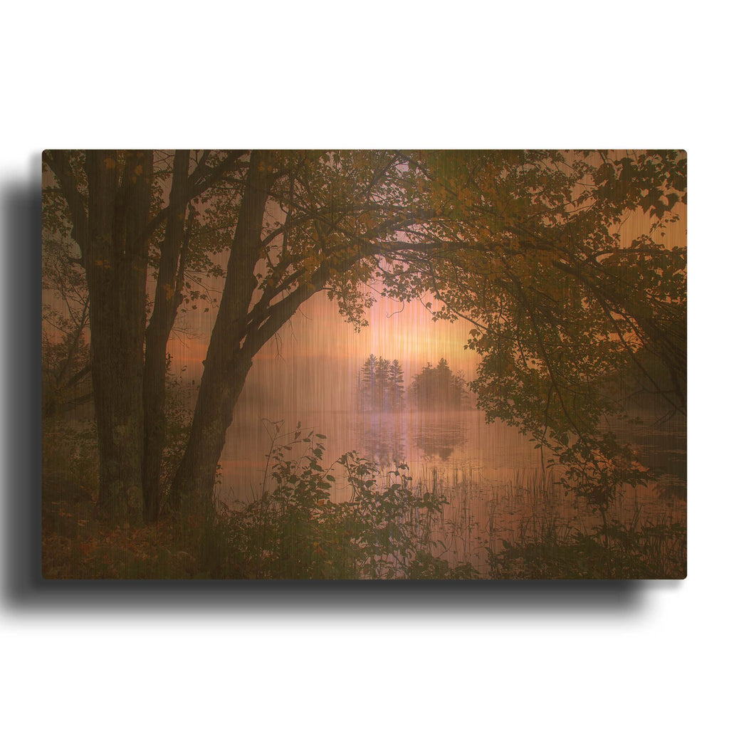 'Framed' By Patrick Zephyr Gold Metal Wall Art