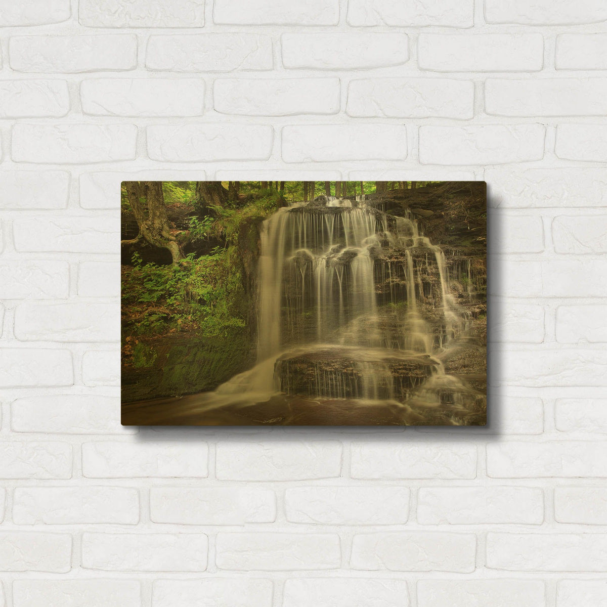 'Gunn Brooks Falls' By Patrick Zephyr Gold Metal Wall Art