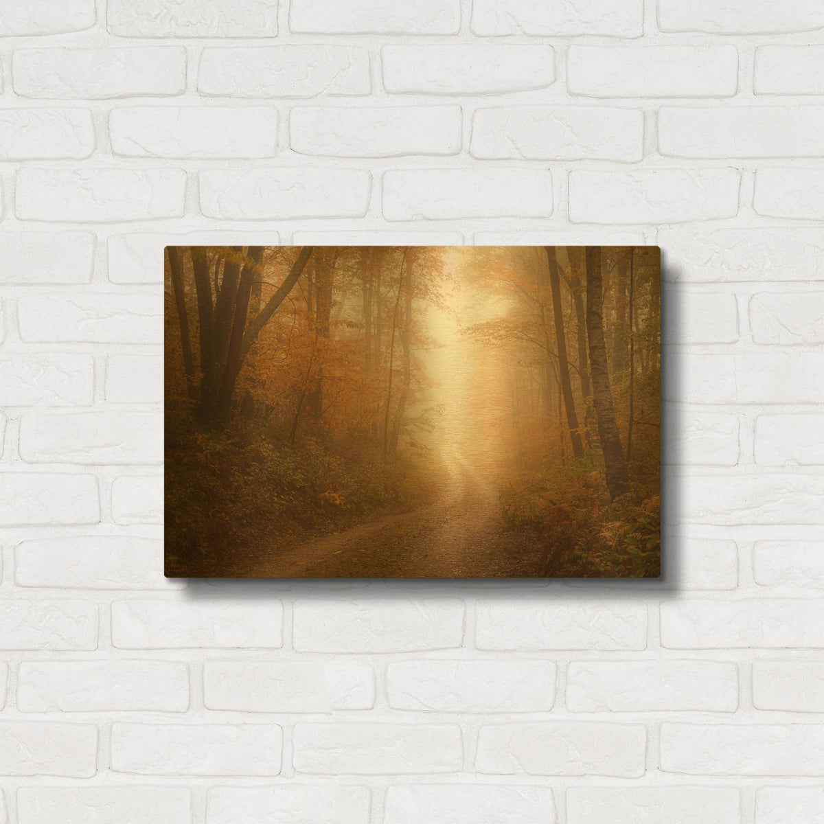 'Familiar Dream' By Patrick Zephyr Gold Metal Wall Art