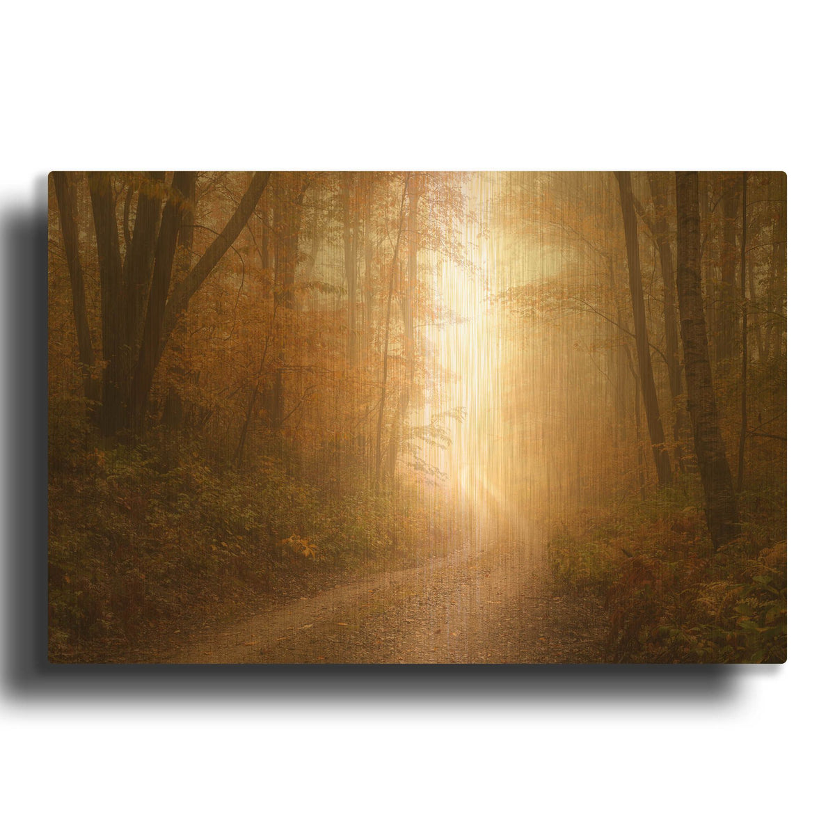 'Familiar Dream' By Patrick Zephyr Gold Metal Wall Art