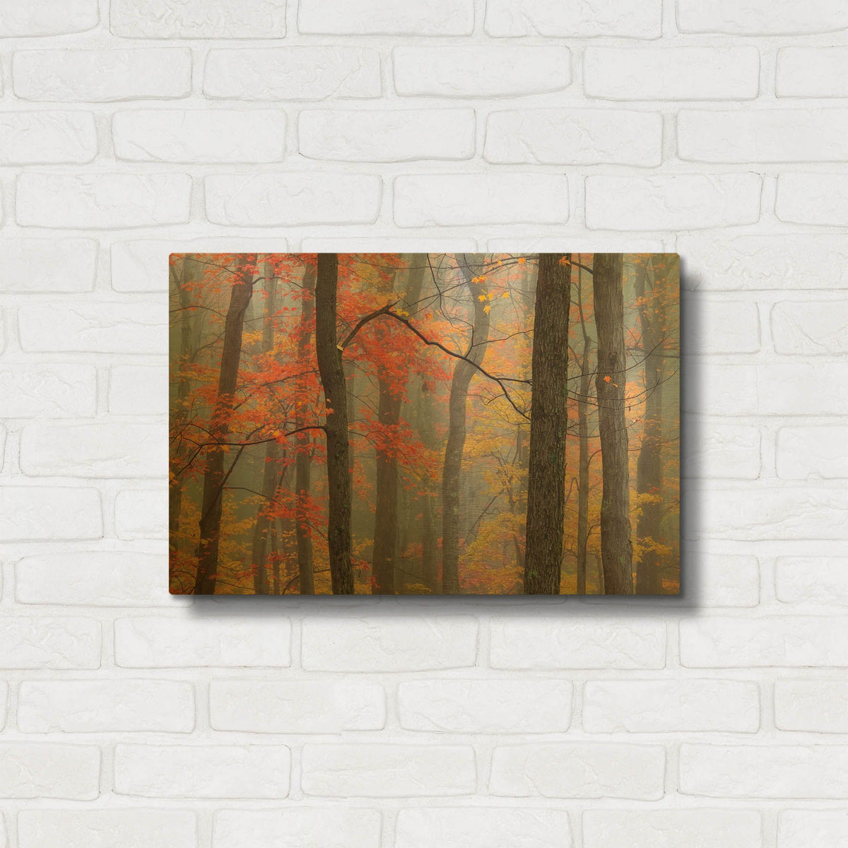 'Fire In The Fog' By Patrick Zephyr Gold Metal Wall Art