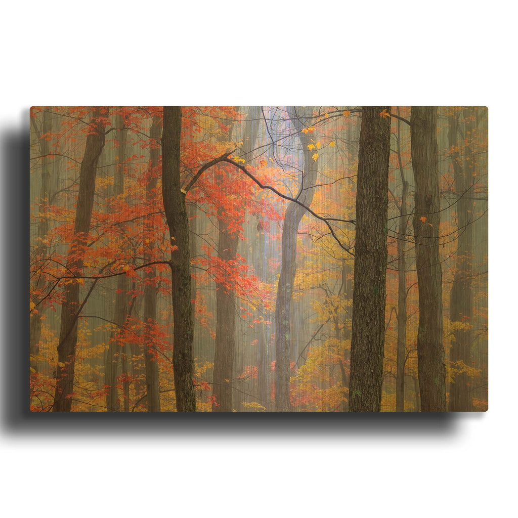'Fire In The Fog' By Patrick Zephyr Gold Metal Wall Art