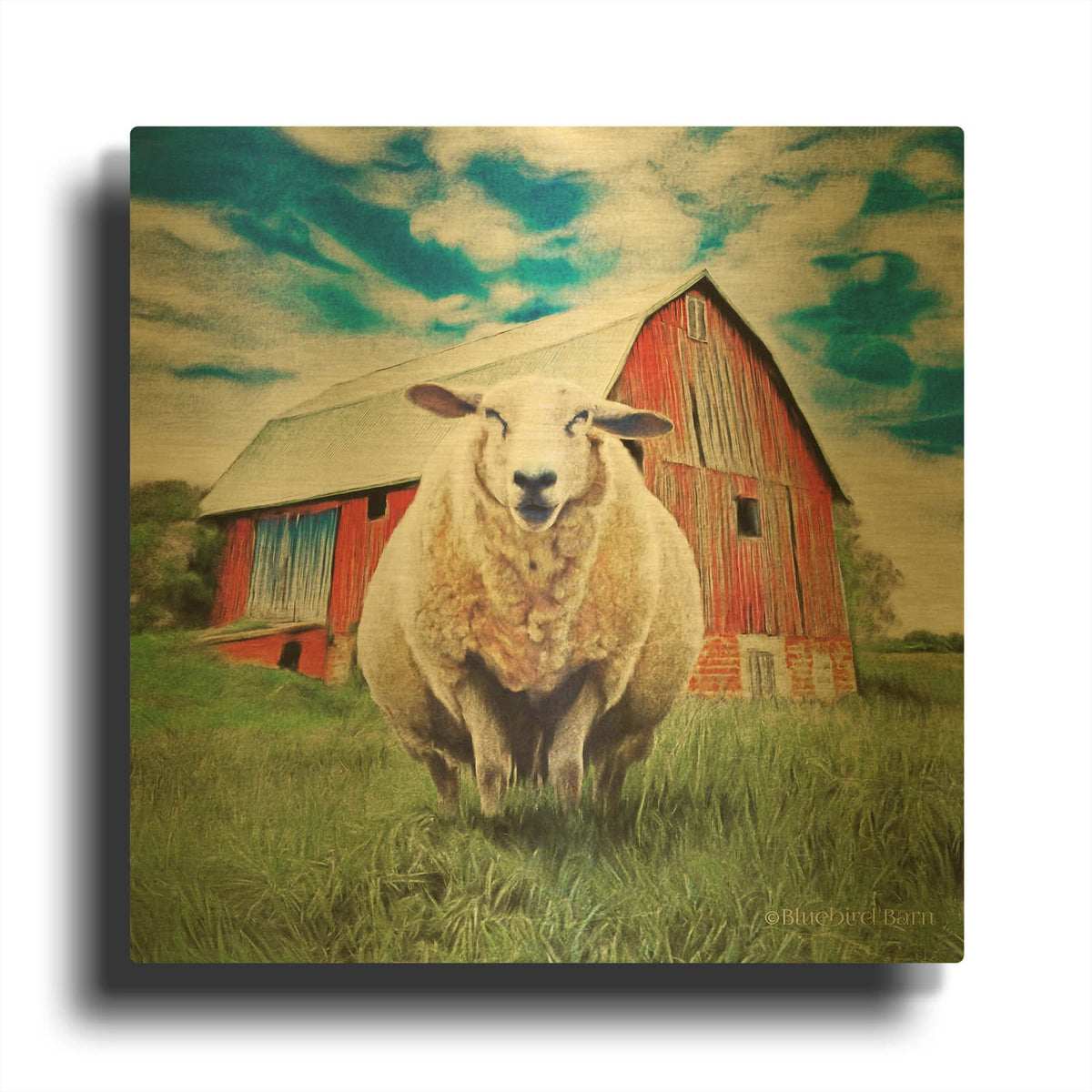 'Sunday Afternoon Sheep Pose' By Bluebird Barn Gold Metal Wall Art