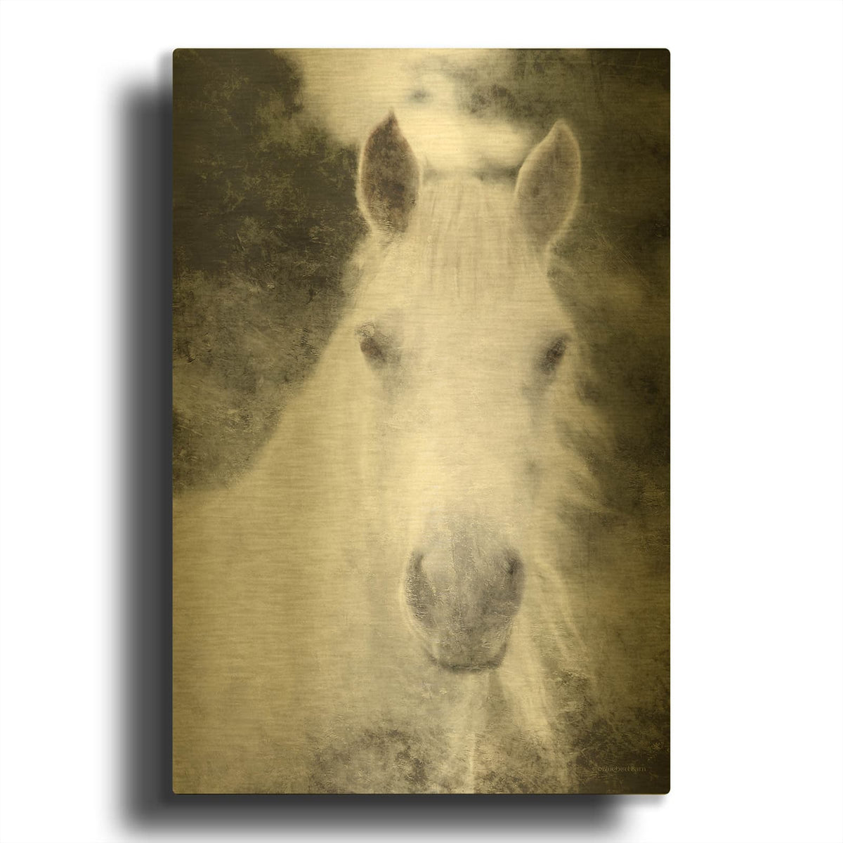 'White Horse Mystique' By Bluebird Barn Gold Metal Wall Art