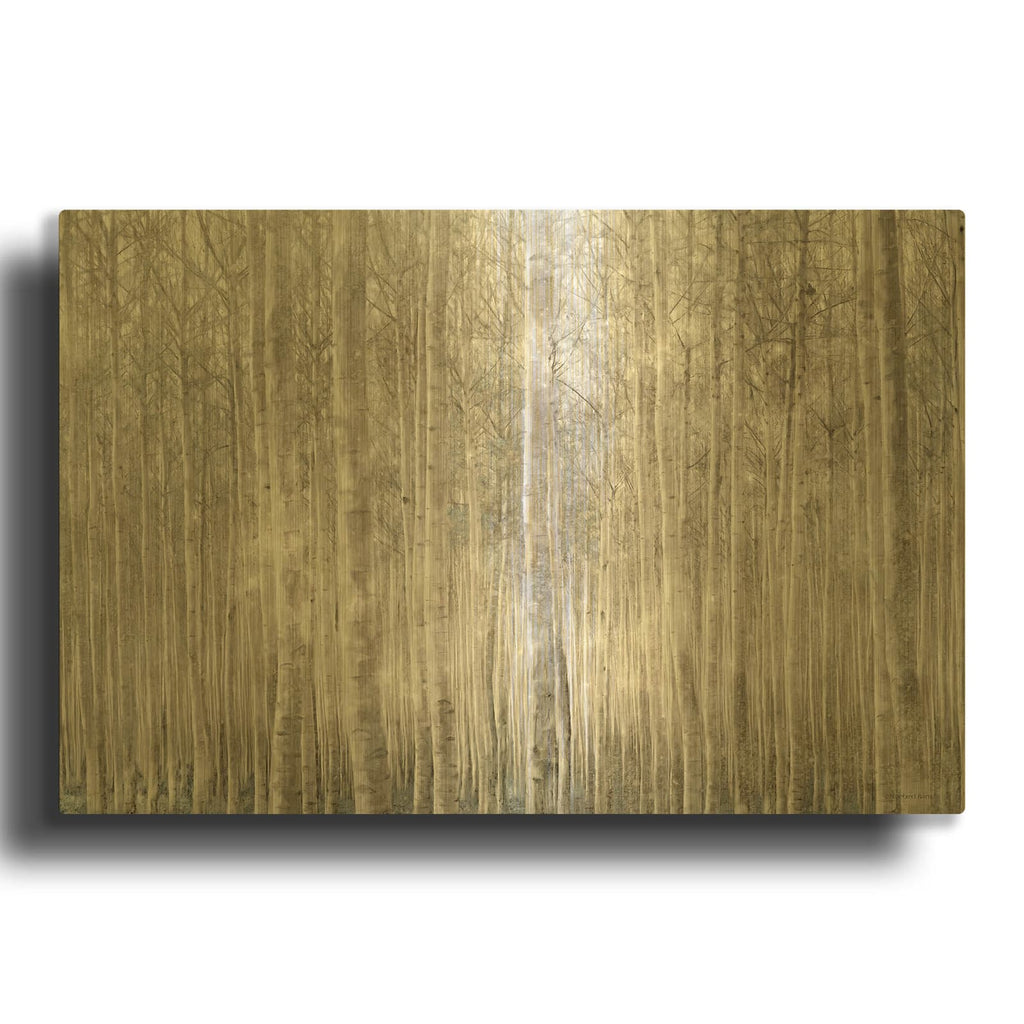 'Birch Trees' By Bluebird Barn Gold Metal Wall Art