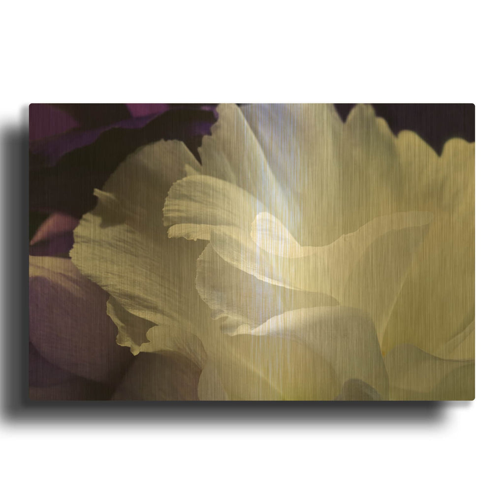 'Lisianthus' By Amalia Elena Veralli Gold Metal Wall Art