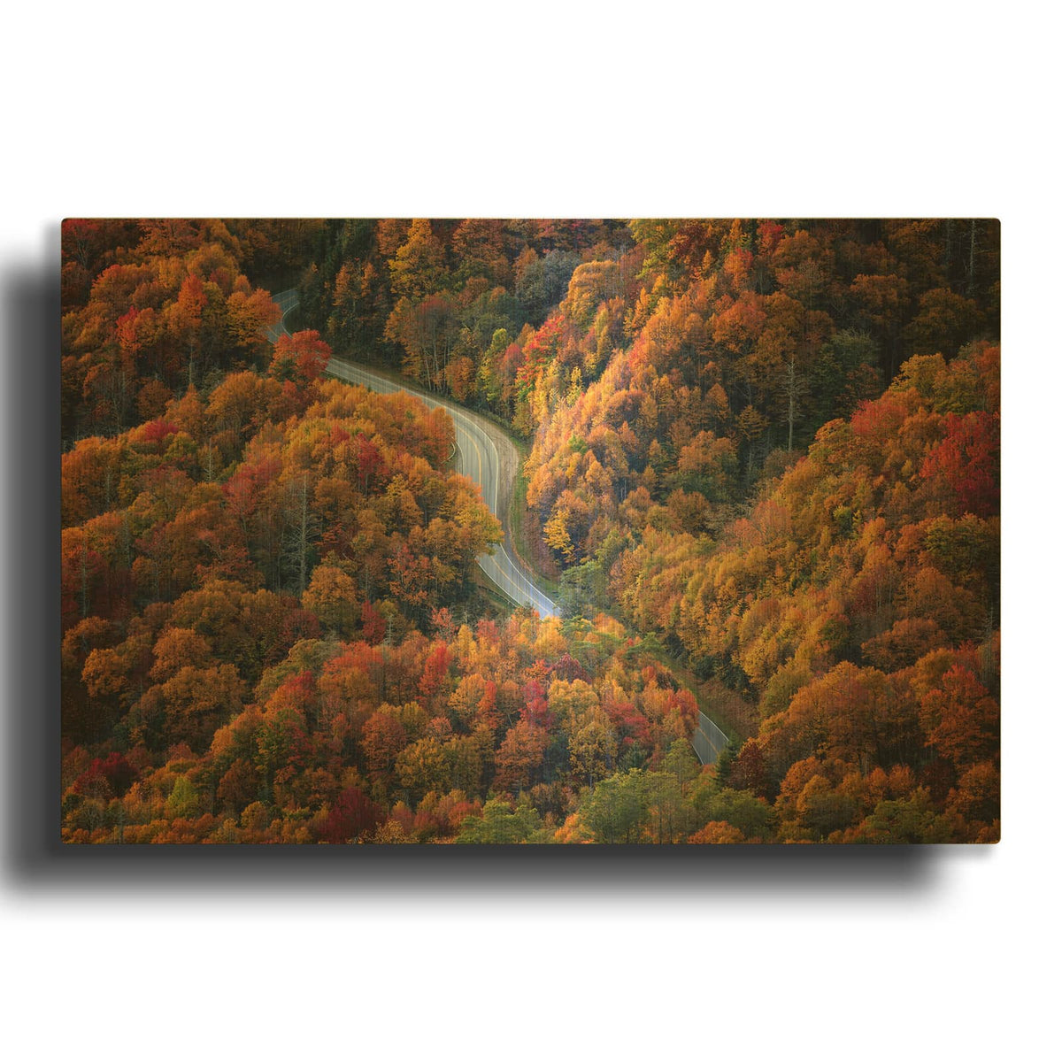 'Newfound Gap' By Rick Berk Gold Metal Wall Art