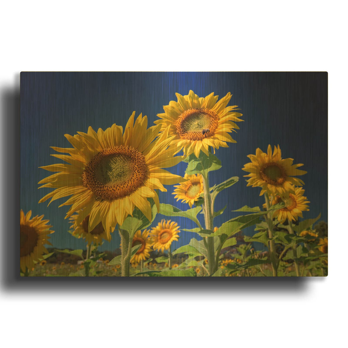 'Golden Sunflowers' By Rick Berk Gold Metal Wall Art