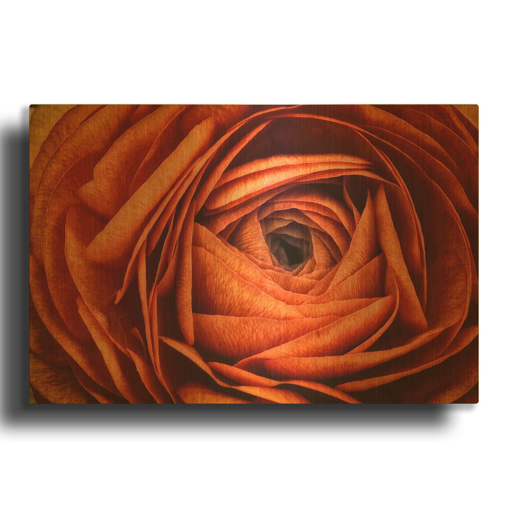 'Ranonkel Oranje' By Rick Berk Gold Metal Wall Art