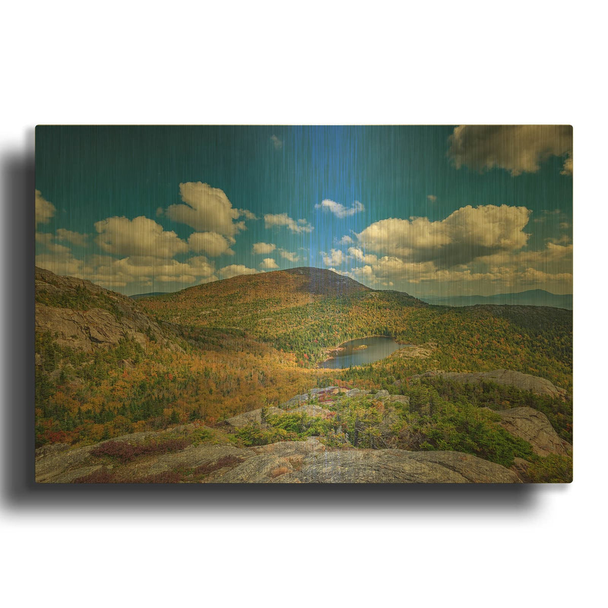 'Tumbledown Pond' By Rick Berk Gold Metal Wall Art