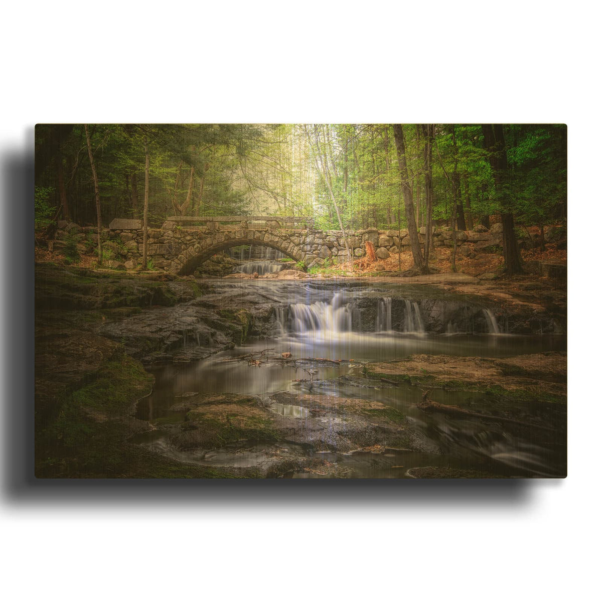 'Spring Day In Vaughan Woods' By Rick Berk Gold Metal Wall Art