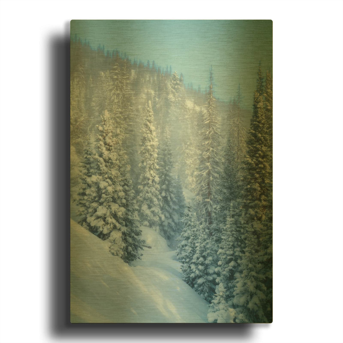 'Snowy Spruces' By Rick Berk Gold Metal Wall Art