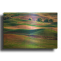 'Rolling Hills Of The Palouse' By Rick Berk Gold Metal Wall Art
