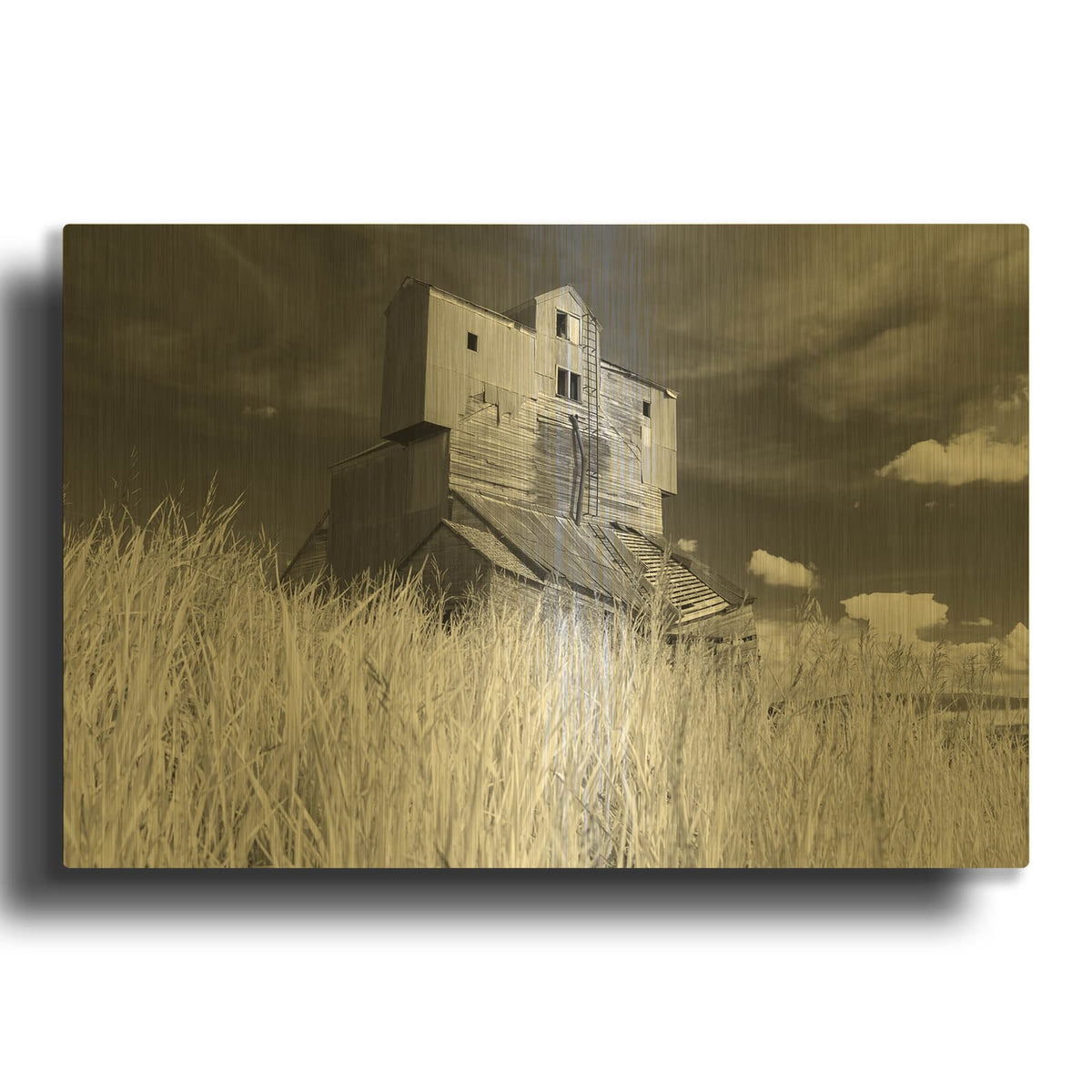 'Abandoned Grain Elevator In The Palouse' By Rick Berk Gold Metal Wall Art